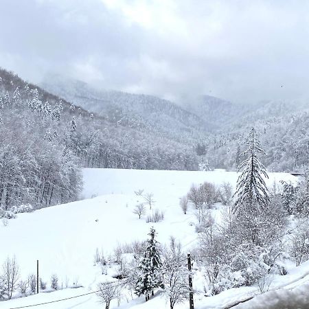 Nature View Apartment Брашов Экстерьер фото