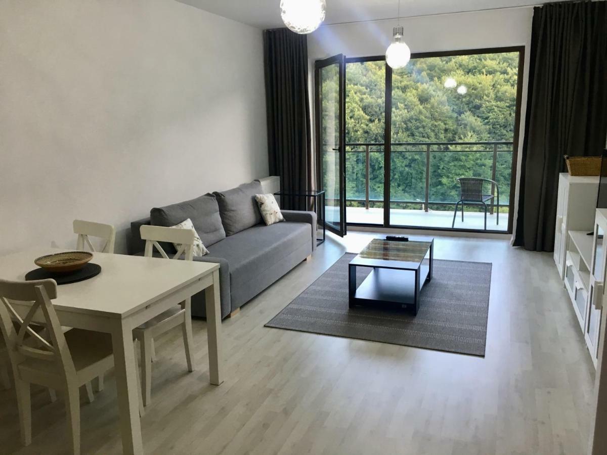 Nature View Apartment Брашов Экстерьер фото