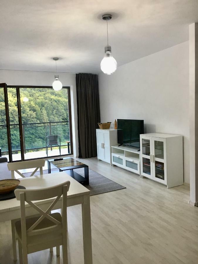 Nature View Apartment Брашов Экстерьер фото