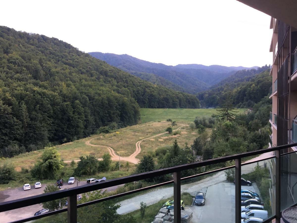Nature View Apartment Брашов Экстерьер фото